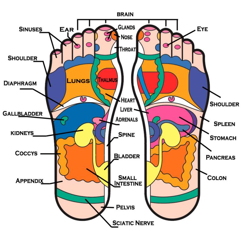Reflexology Chart
